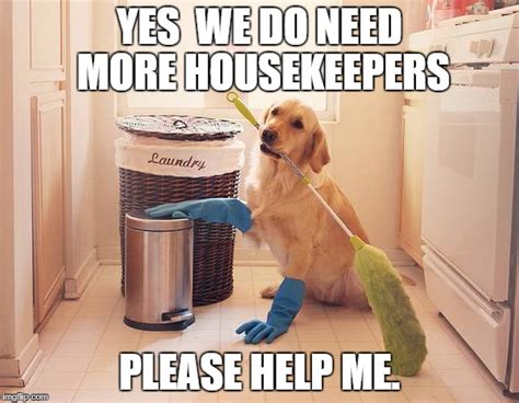 funny cleaning memes